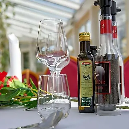 Hotel Hotel-restaurant-gondelfahrt Oppach